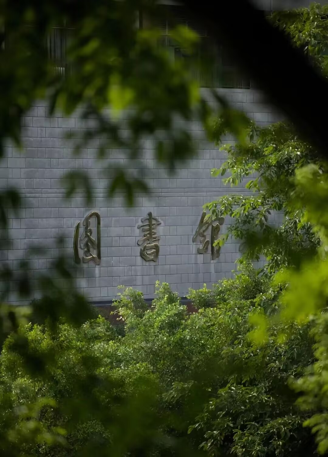照片