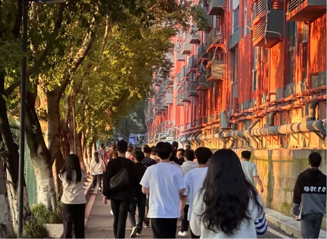 照片